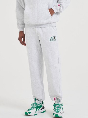 AND1 - Tapered Pantalón en gris: frente