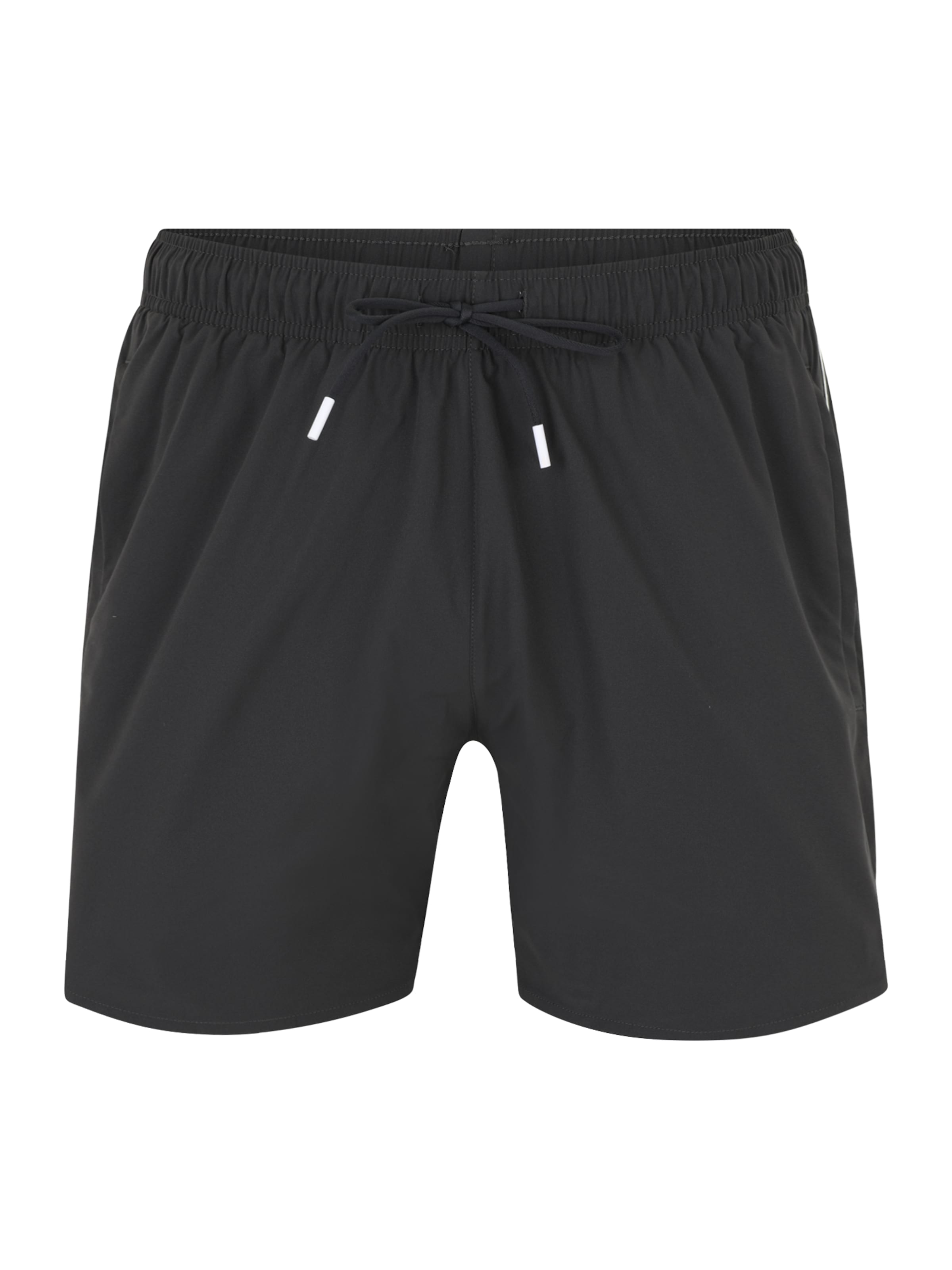 BOSSKupaće hlače &#x27;Iconic&#x27; - siva boja: prednji dio