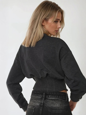 Hiccup Sweatshirt in Grijs