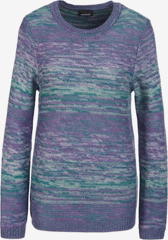 Goldner Sweater in Purple: front