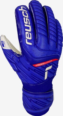 REUSCH Athletic Gloves in Blue: front