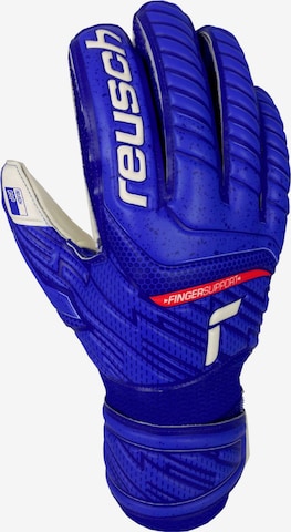 REUSCH Athletic Gloves in Blue: front