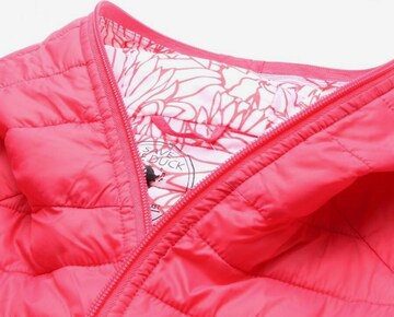 SAVE THE DUCK Jacket & Coat in XS in Pink