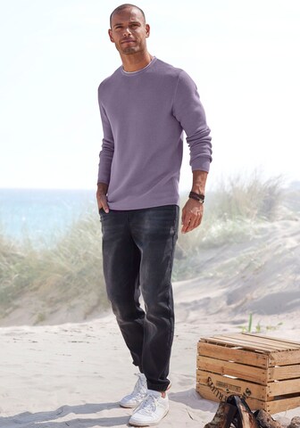 Authentic Le Jogger Sweater in Purple