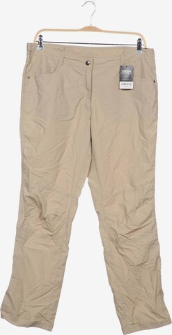 ICEPEAK Pants in XXXL in Beige: front