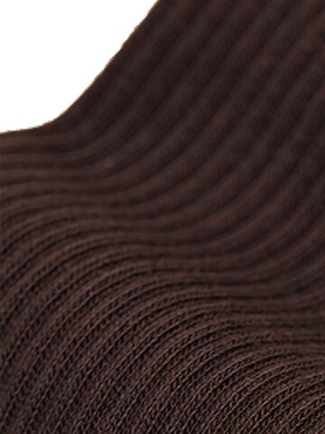 Von Jungfeld Socks 'CASUAL CLASSIC' in Brown