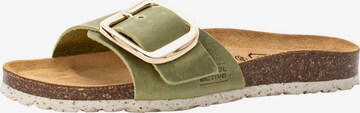 CAMEL ACTIVE Pantolette in Grün: predná strana