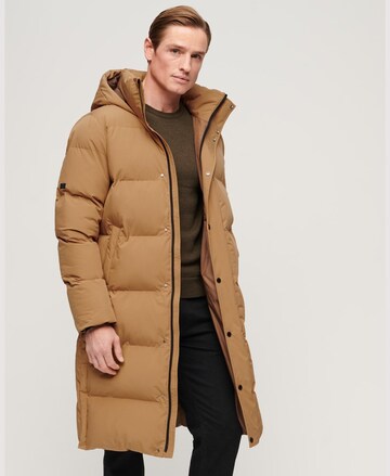 Superdry Winter Coat in Brown