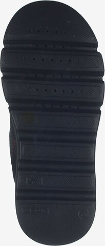 GEOX Stiefel in Schwarz