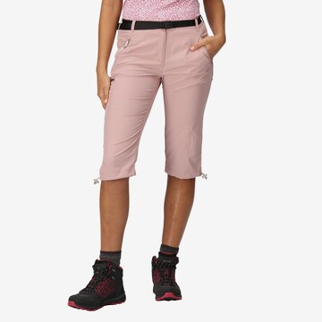 REGATTA Regular Outdoor Pants 'Xert' in Pink: front