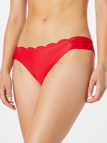 Hunkemöller Bikiniunderdel 'Scallop' i röd: framsida