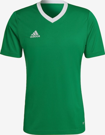 ADIDAS SPORTSWEAR Performance Shirt 'Entrada 22' in Green: front