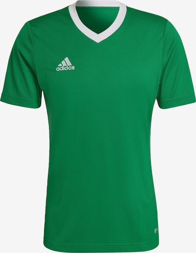 ADIDAS SPORTSWEAR Functioneel shirt 'Entrada 22' in de kleur Grasgroen / Wit, Productweergave