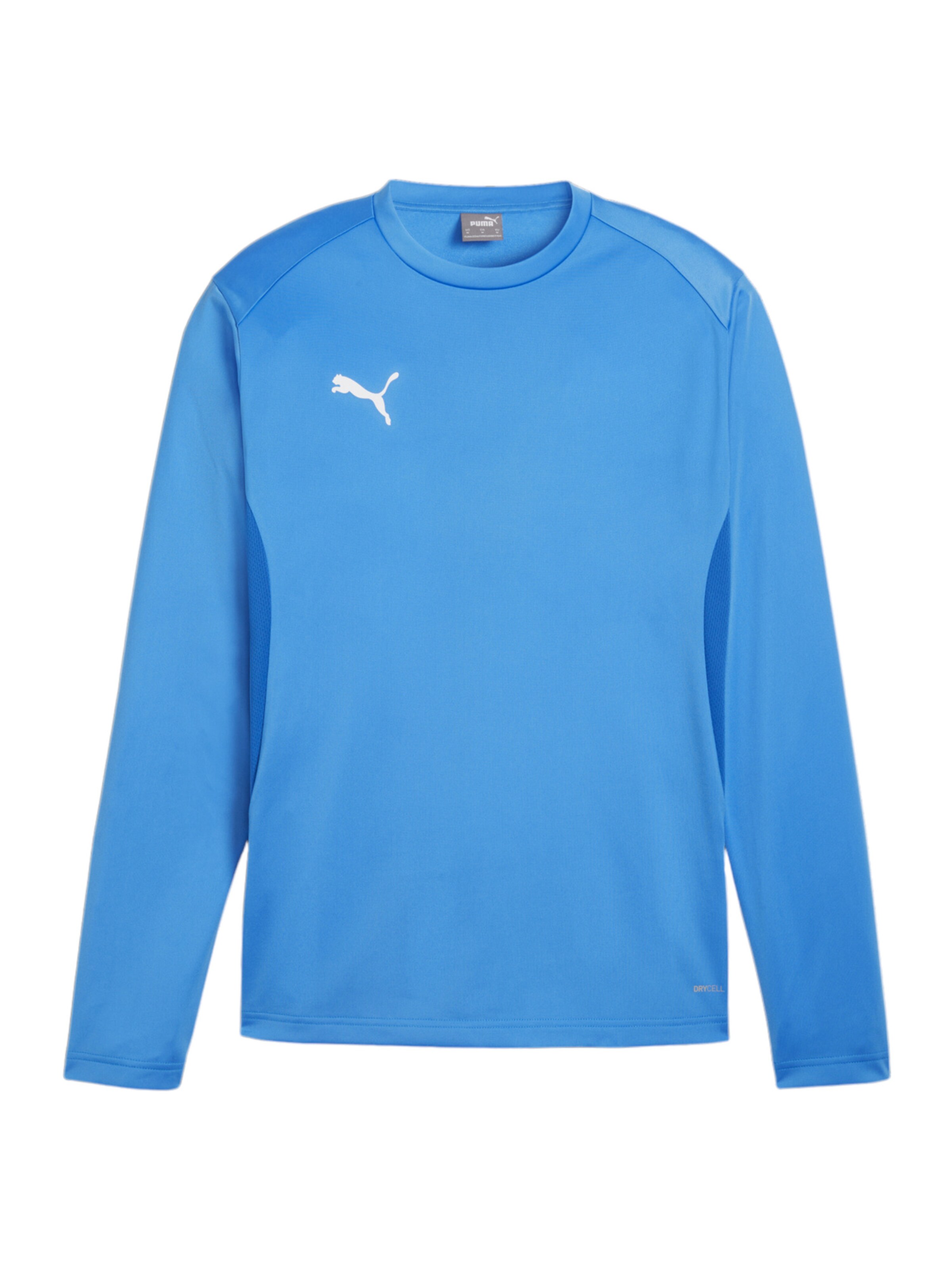 PUMA Sportsweatshirt 'TeamGoal' in Blau: Vorderseite