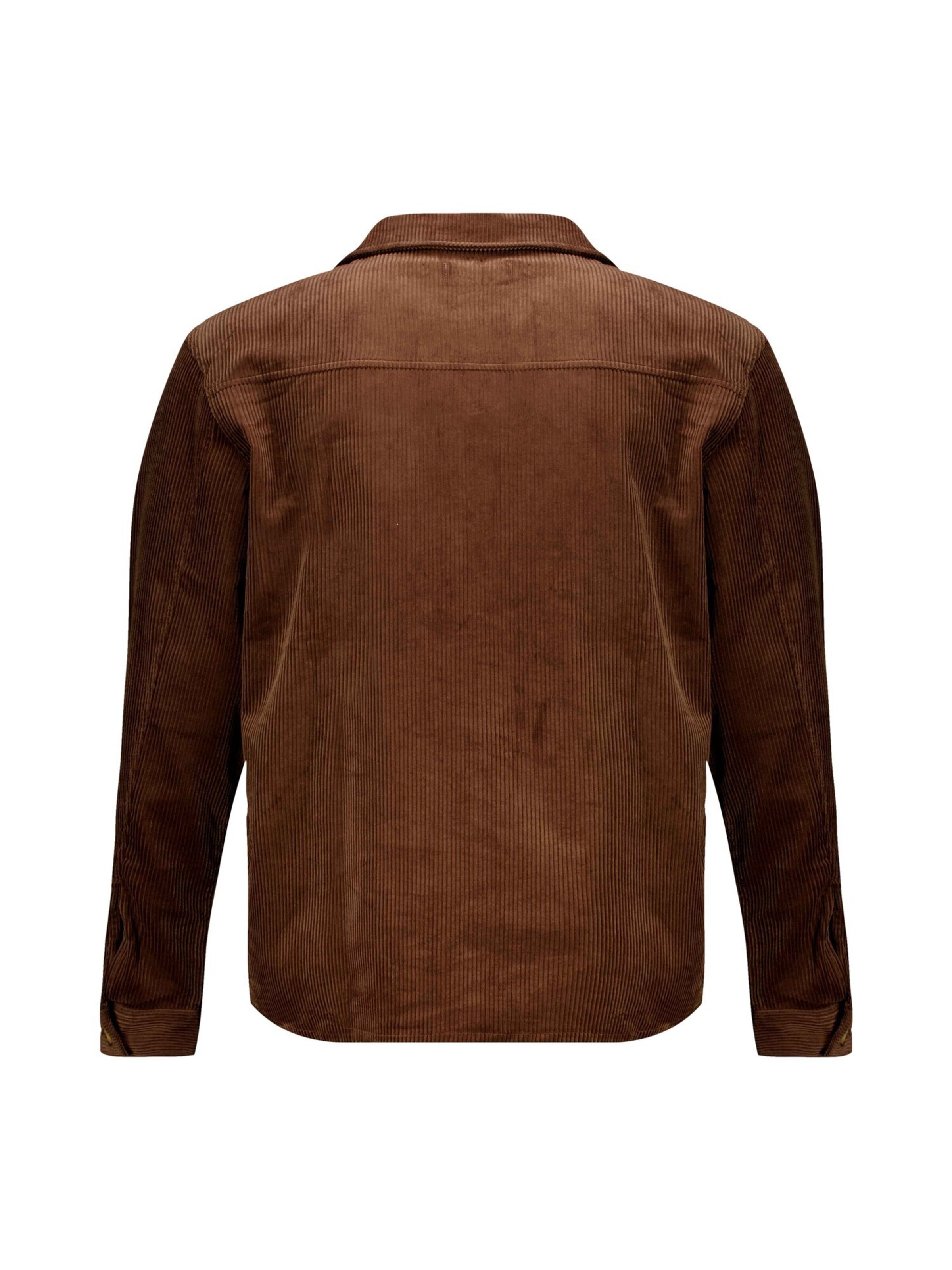 Coupe regular T-Shirt 'ALINO' Deeluxe en marron