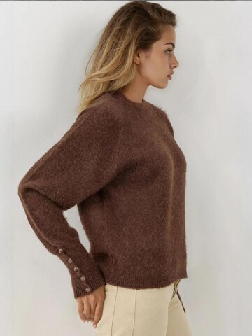 Pull-over 'Pullover' Hiccup en marron