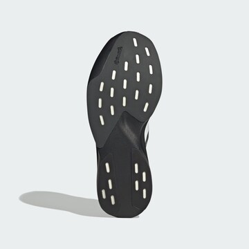 ADIDAS PERFORMANCE Tekaški čevelj 'Adizero Evo SL Exo' | črna barva