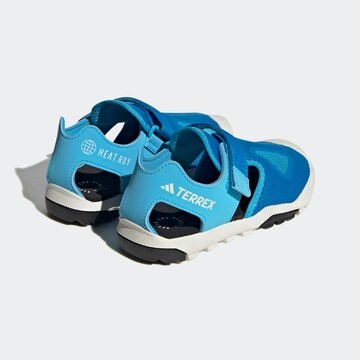 ADIDAS TERREX Sandals 'Captain Toey 2.0' in Blue