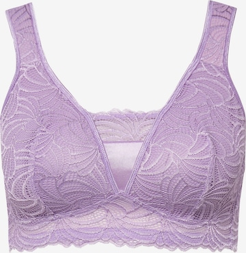 Ulla Popken Bustier BH in Lila: predná strana