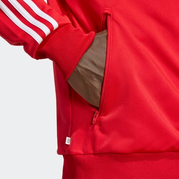 ADIDAS ORIGINALS Суичъри с качулка 'Adicolor Classics Firebird' в червено