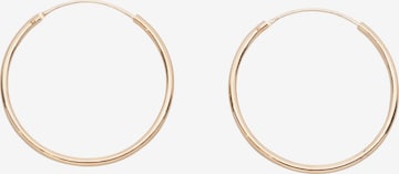 fejn Creolen in Gold: Vorderseite