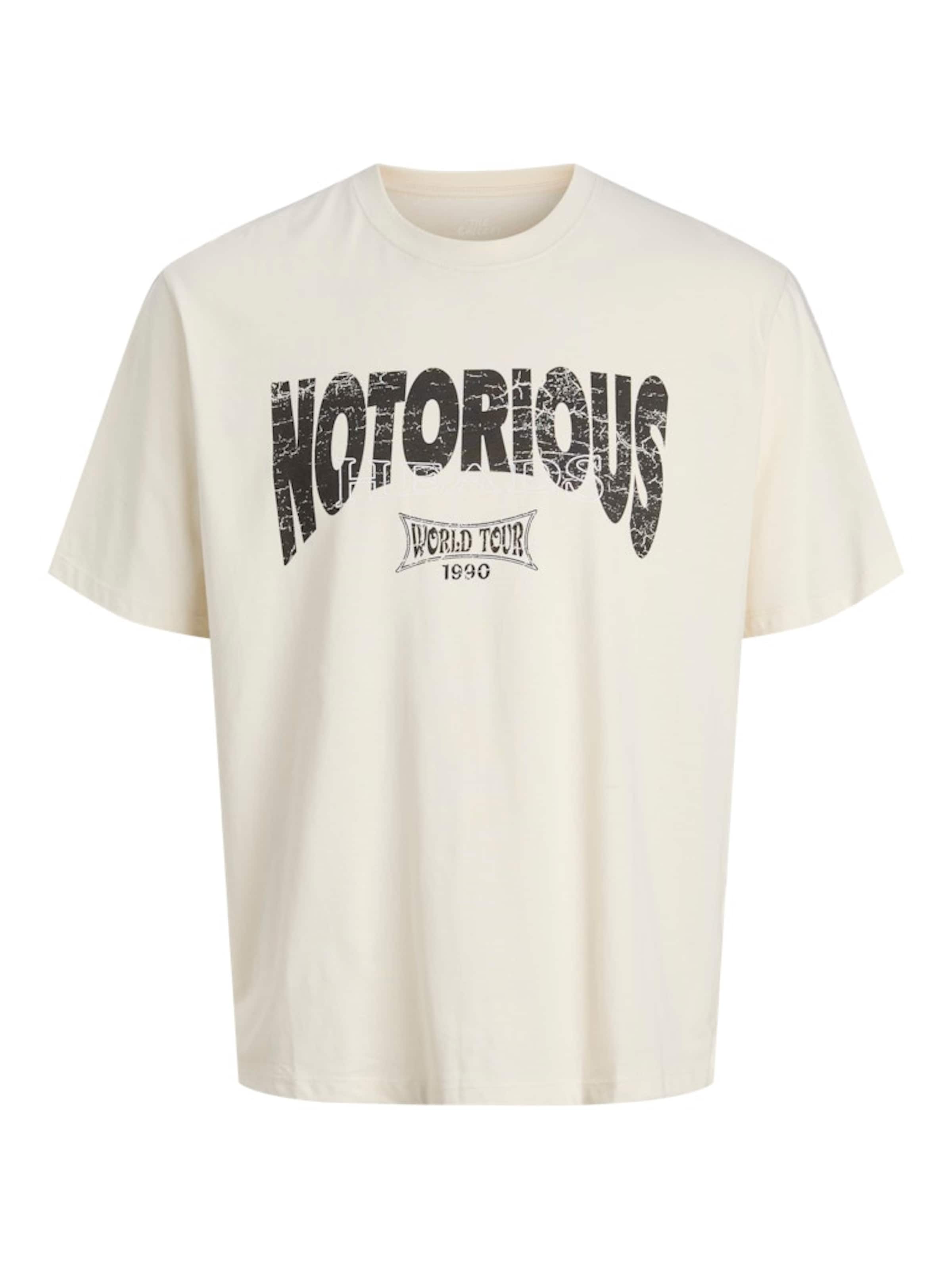 JACK & JONES Μπλουζάκι 'JOREaglerock Gallery' σε λευκό: μπροστά