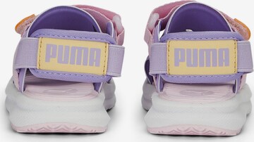 PUMA Beach & swim shoe 'Evolve' in Purple