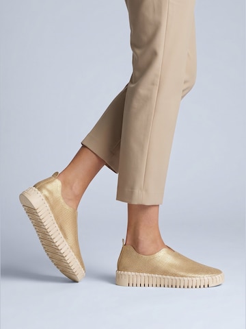 ILSE JACOBSEN Slipper 'TULIP3275' in Gold: Vorderseite