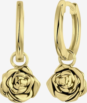 Lucardi Oorbellen in Goud: voorkant