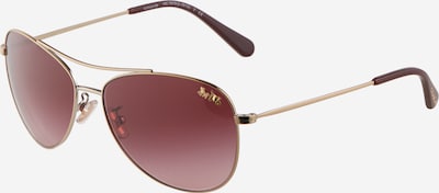 COACH Lunettes de soleil '0HC7079' en or / bourgogne, Vue avec produit