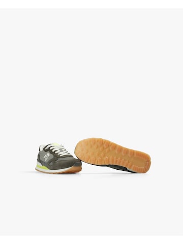 Scalpers Ketsid, värv roheline