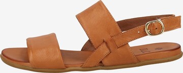 ILC Sandals in Brown