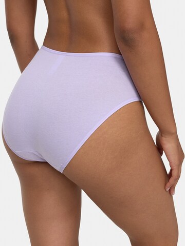 Nur Die Panty ' Mini ' in Mixed colors