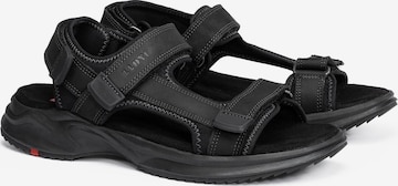 LLOYD Sandals 'ECHO' in Black