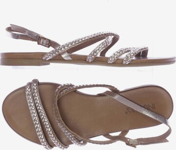 INUOVO Sandals & High-Heeled Sandals in 39 in Brown: front