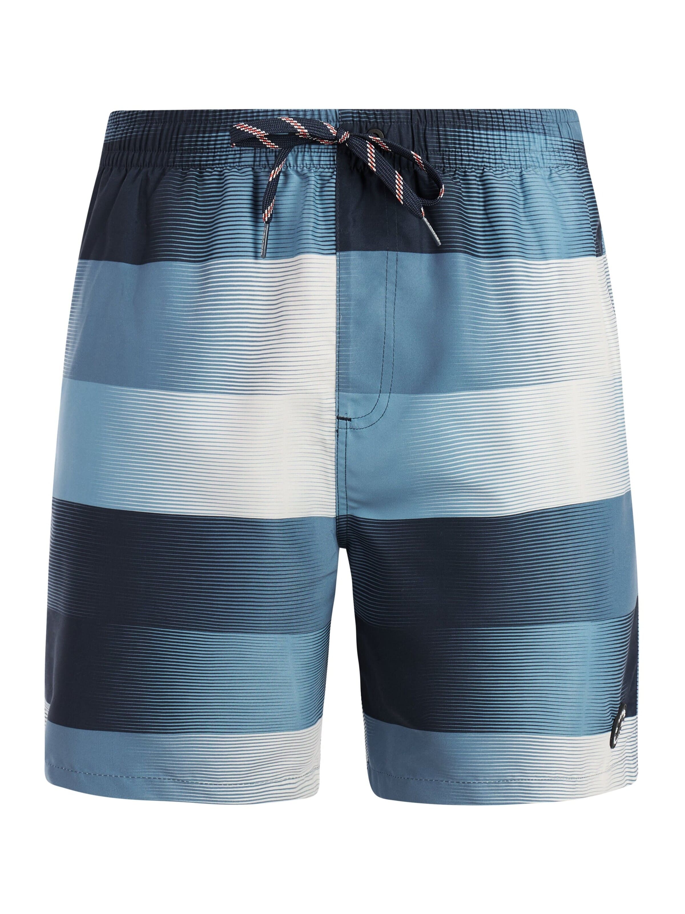PROTEST Swimming shorts 'PRTLomond' in Blue: front