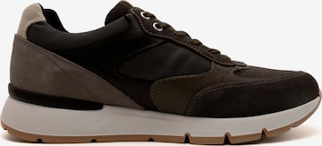 Nero Giardini Sneakers in Brown
