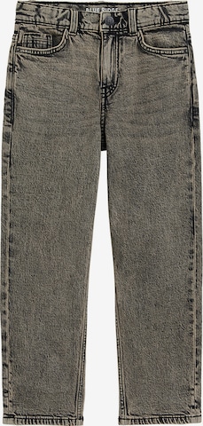 WE Fashion Loosefit Farkut värissä harmaa: etupuoli