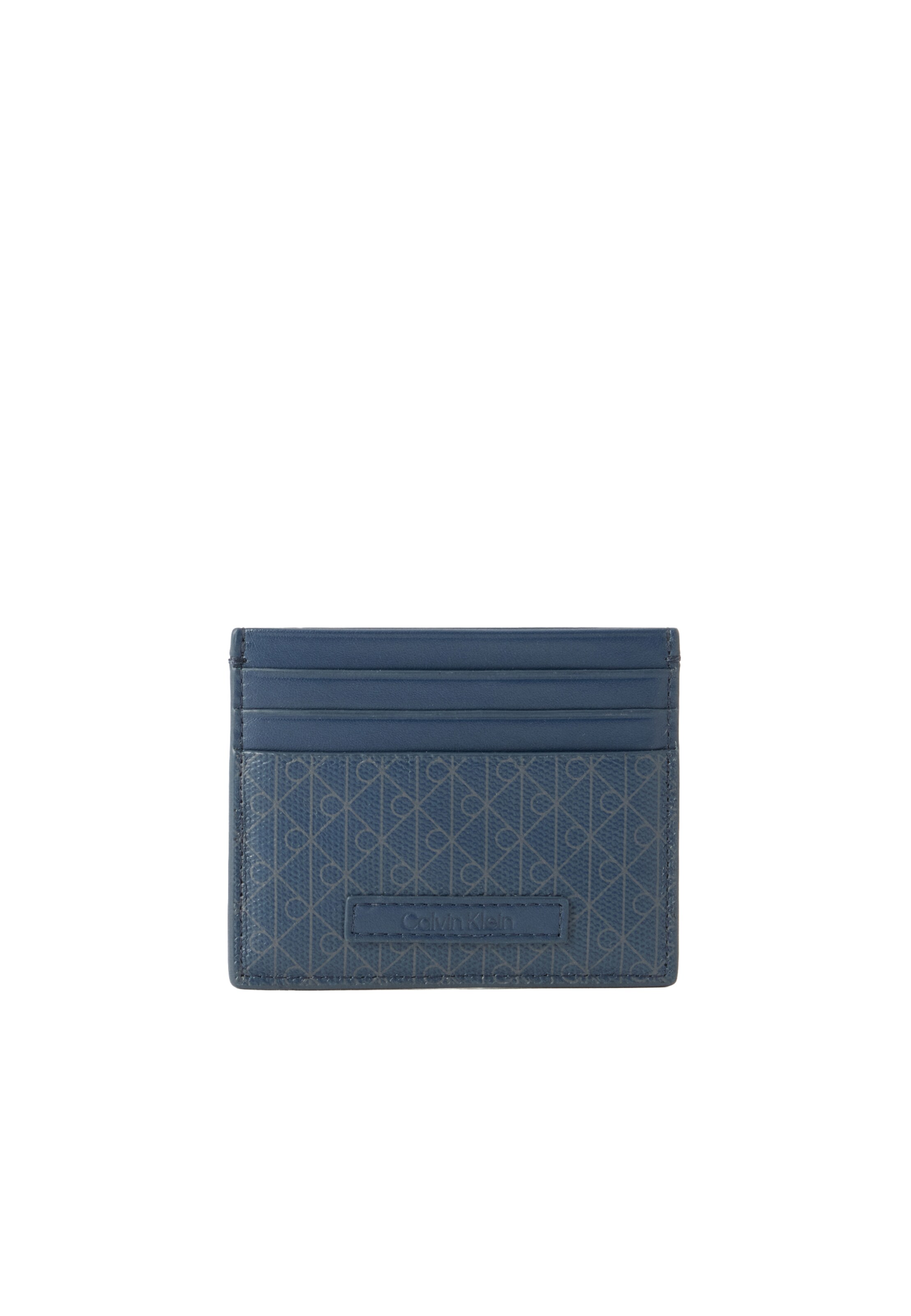 Calvin Klein Kartenetui in Blau: Vorderseite
