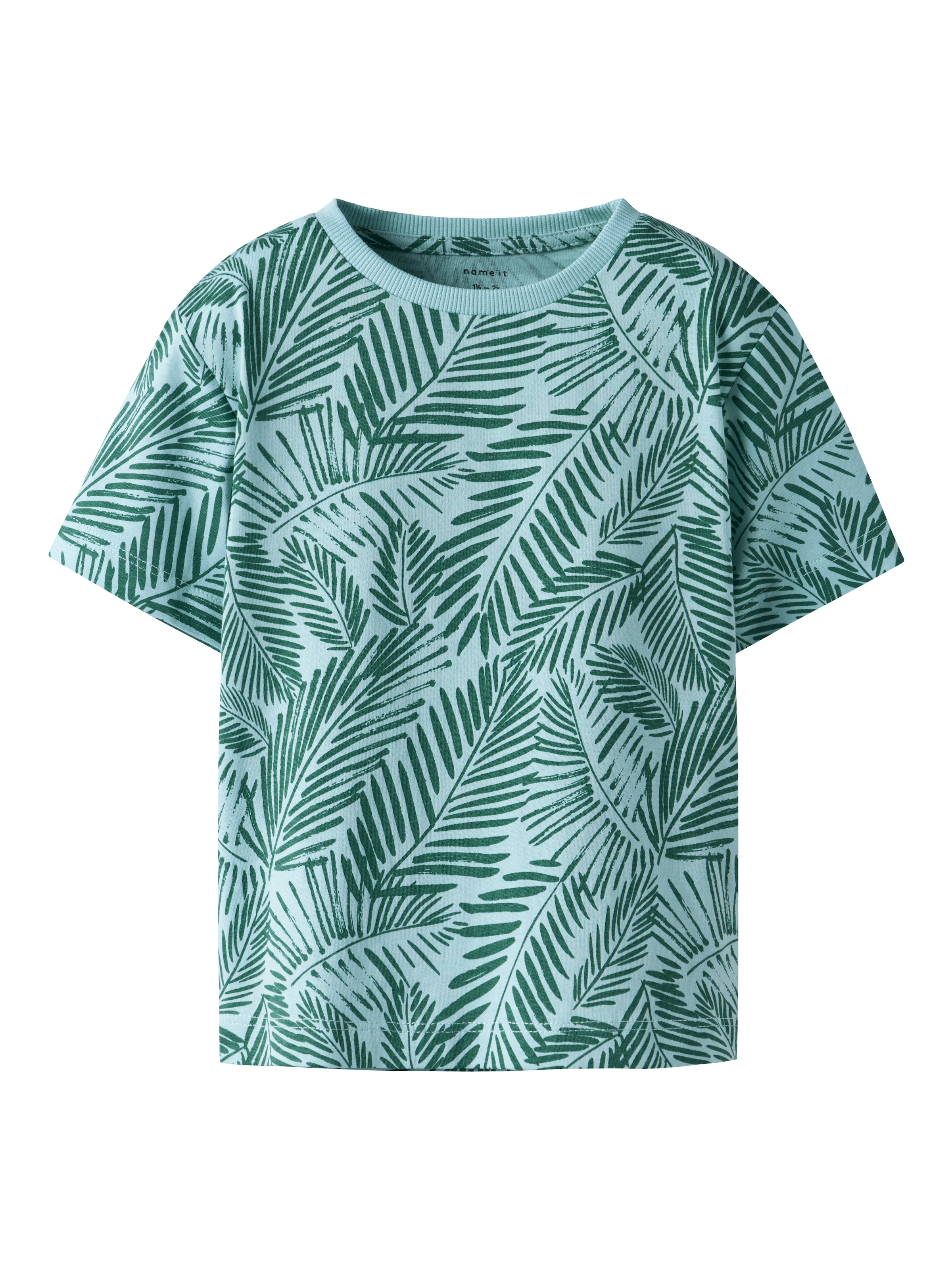 NAME IT Koszulka 'NMMJIVAN' w kolorze zielony: przód