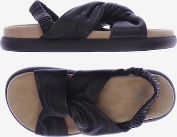 Crickit Sandals & High-Heeled Sandals in 40 in Black: front