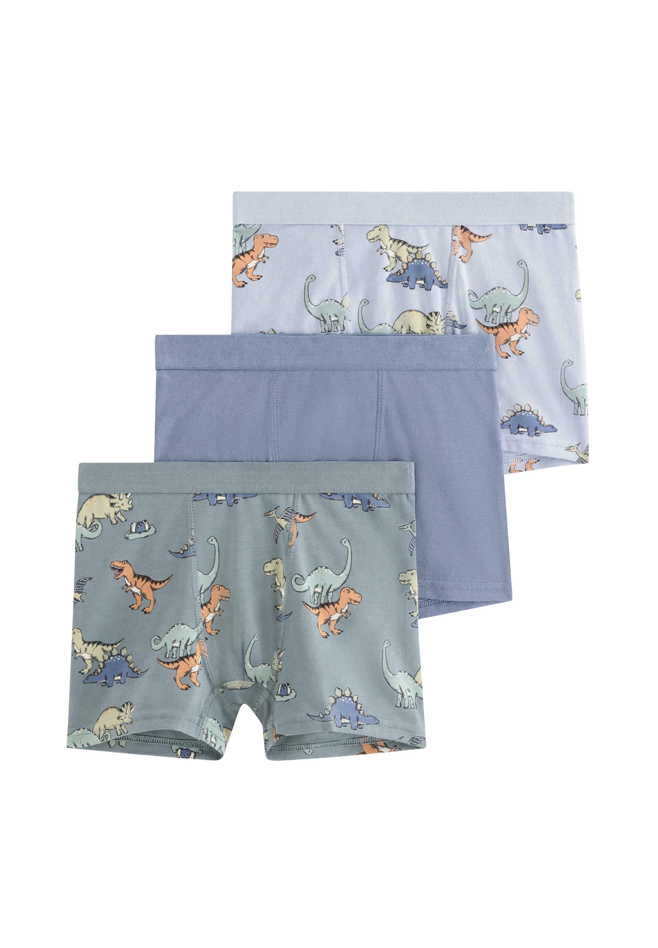 Pantaloncini intimi 'Dinosaurs' di Lindex in blu: frontale