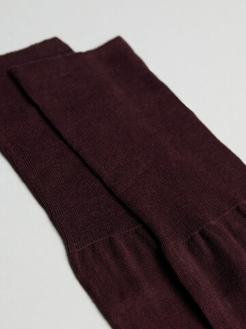 CALZEDONIA Knee High Socks in Red