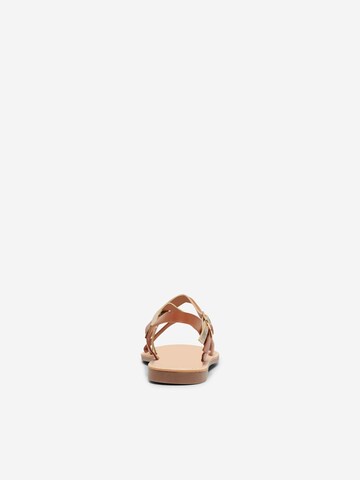 ONLY Strap Sandals 'MANDALA-18' in Brown