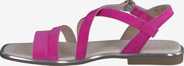 Paul Green Sandalen met riem in Roze