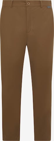 Born Living Yoga Regular Broek 'Cannon' in Bruin: voorkant