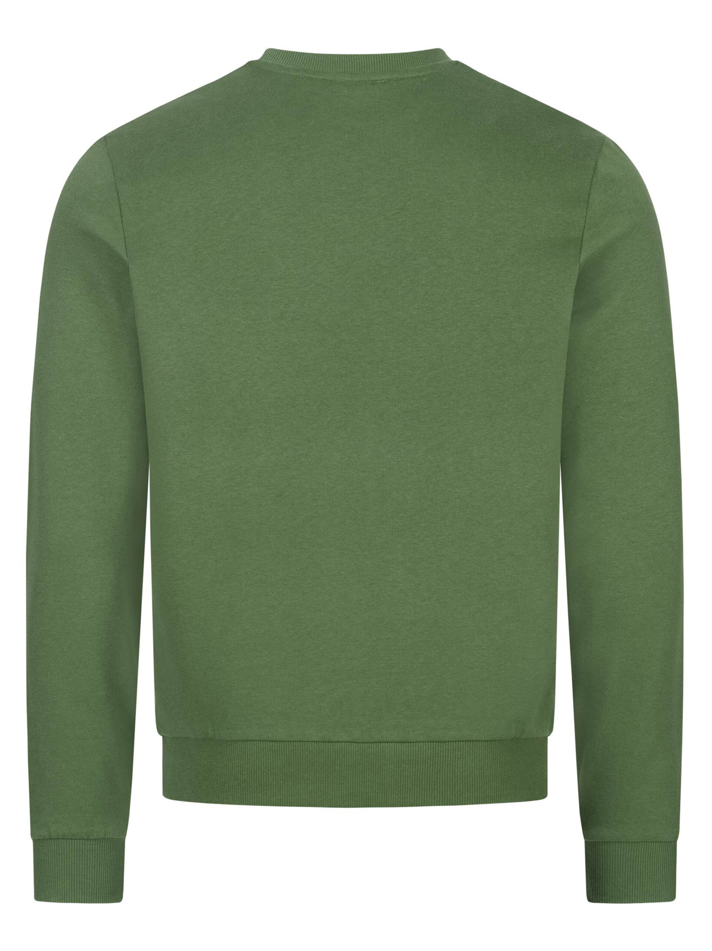 U.S. POLO ASSN. Sweatshirt in Green