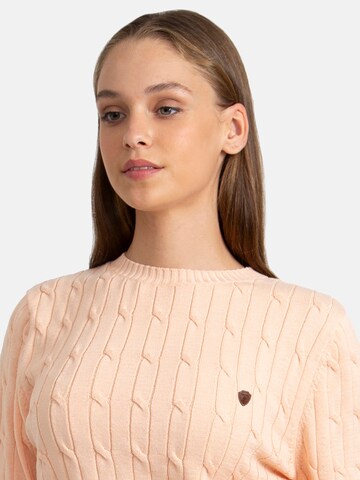 Jacey Quinn - Jersey en rosa