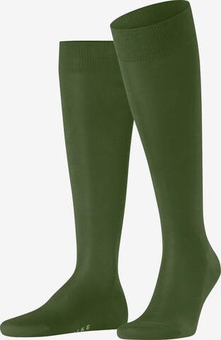 FALKE Knee High Socks 'Tiago' in Green: front