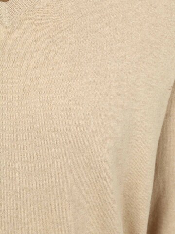 Steppin' out Sweater in Beige